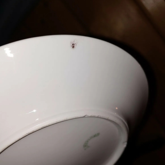 Antique Carl Tielsch (CT) Altwasser of Silesia China Salad Plate Set Lustreware - Picture 11 of 12